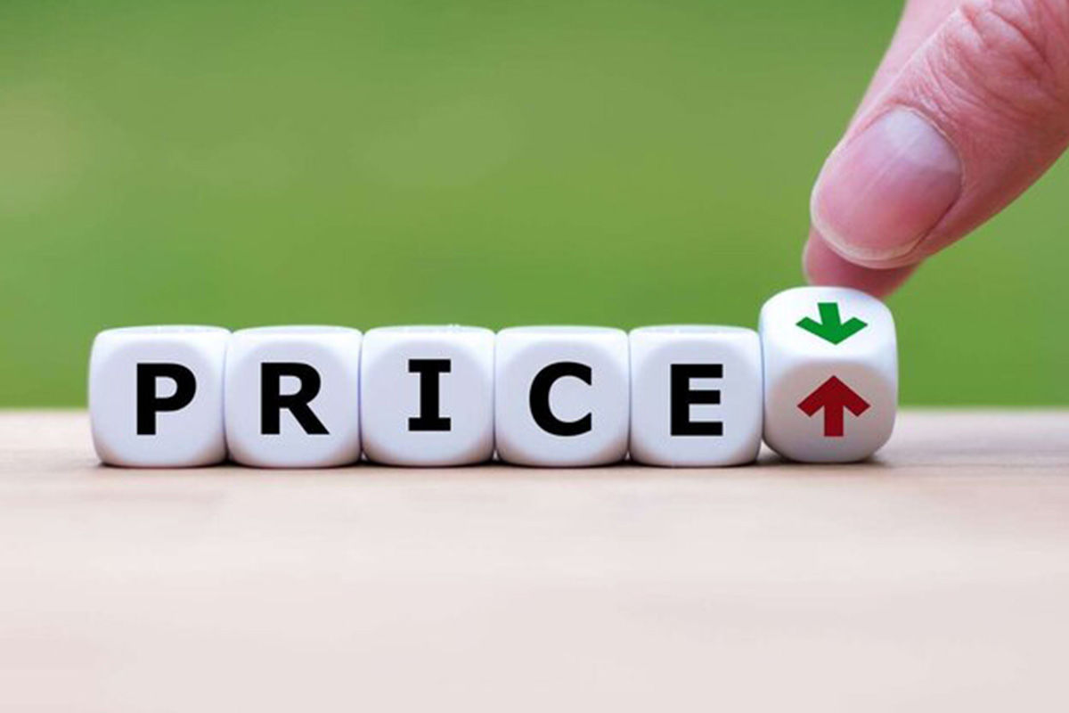 حذف قیمت‌گذاری دستوری و ایجاد بازار آزاد | از هراس ایرانی‌ها تا جسارت آلمانی‌ها