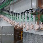 بازار لبنیات در مدار گرانی/ قیمت مرغ ۱۶۸ هزار تومان شد+جدول قیمت کالاهای اساسی