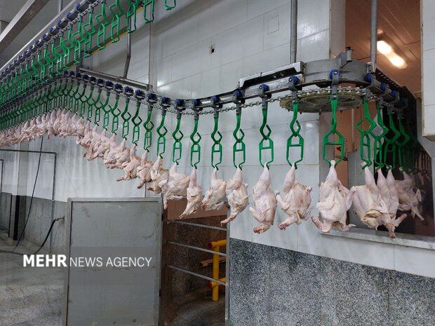 بازار لبنیات در مدار گرانی/ قیمت مرغ ۱۶۸ هزار تومان شد+جدول قیمت کالاهای اساسی