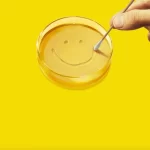 نقد سریال Pluribus؛ وقتی مهربانیِ بیش از حد ترسناک می‌شود