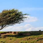 وزش باد در ایلام جان یک نفر را گرفت