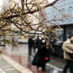 باد شدید در راه تهران باد شدید در راه تهران