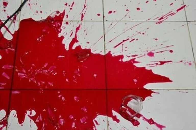 جزئیات هولناک از قتل مرد همسرآزار به دست برادران همسرش