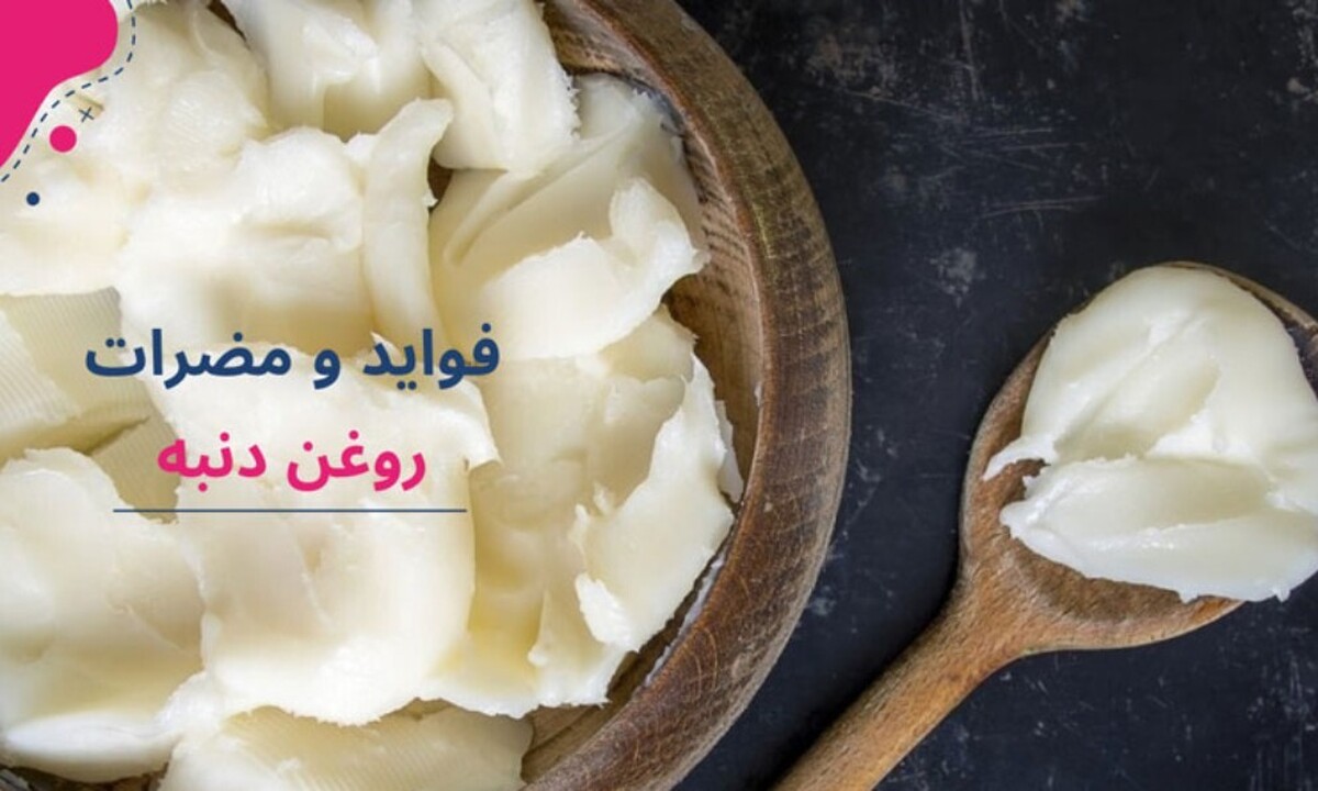 مضرات و فواید روغن دنبه / روغن دنبه بخوریم یا نه؟