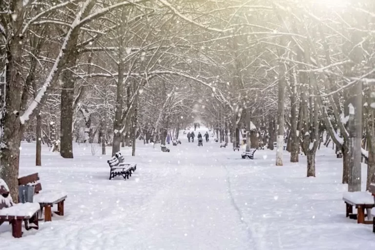 اعلام آماده‌باش در این استان ها/ کولاک و برف در راه است