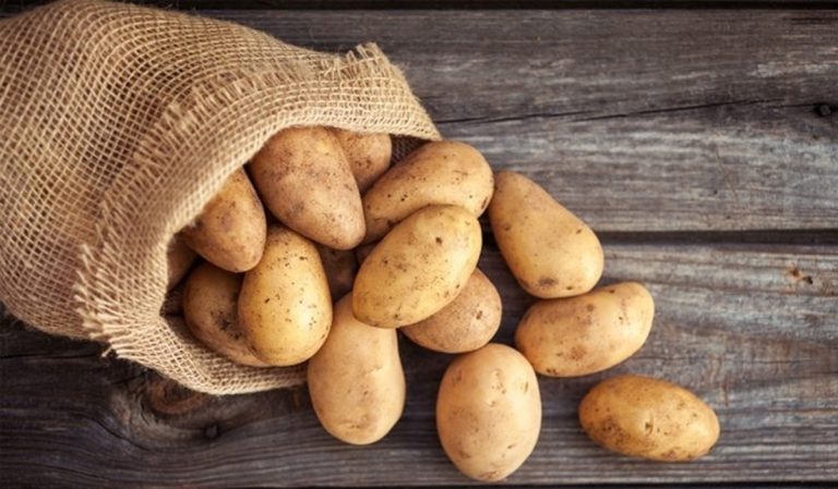 آیا سیب‌زمینی می‌تواند جایگزین غلات در رژیم سالم شود؟