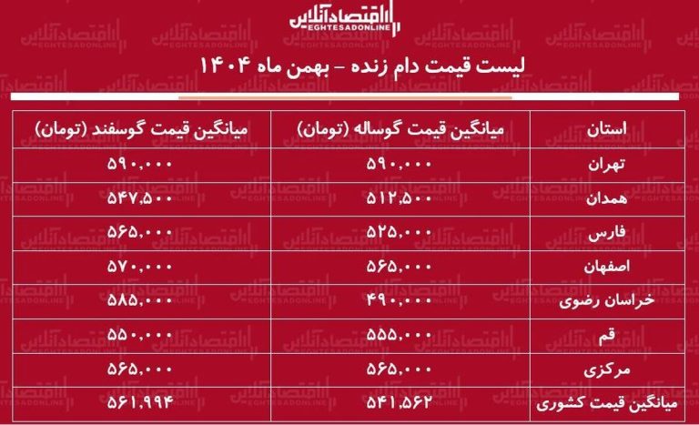 قیمت جدید دام زنده امروز ۱۱ بهمن ۱۴۰۴ / گوسفند زنده کیلویی چند شد؟ + جدول