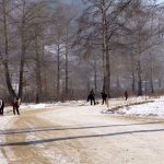 یخ‌زدگی لوله‌ها در کره‌شمالی/ فروشندگان آب با گاری‌های دستی به کمک مردم می‌آیند