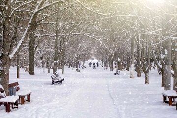 برف و باران در راه 8 استان کشور/ هشدار نارنجی صادر شد