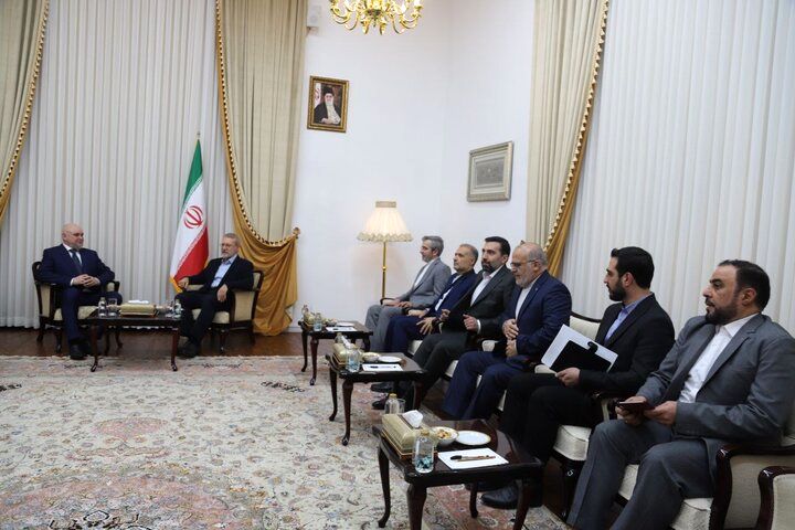 جزئیاتی از دیدار علی لاریجانی با وزیر انرژی روسیه