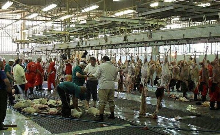 جزئیات و نحوه پرداخت وجه قربانی حج تمتع ۱۴۰۵ اعلام شد