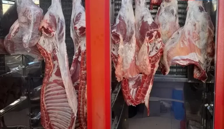 ماجرای تهاتر گوشت با گاز چیست؟ / شرایط جدید در واردات دامی کشور