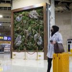 شوک قیمتی در بازار پروازها / قیمت جدید بلیط هواپیما اعلام شد