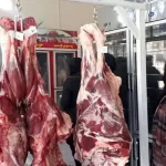 سیگنال گرانی گوشت در راه است/ گوشت قرمز به کیلویی چند تومان می‌رسد؟