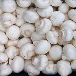 قارچ را بالاتر از این قیمت نخرید!