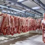آغاز کاهش قیمت‌ها در بازار گوشت/ گوشت گوساله و گوسفندی به کیلویی چند تومان می‌رسد؟