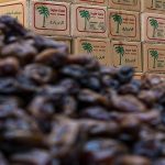 افزایش نجومی خرما در ماه رمضان؛ هر کیلو خرما چند؟