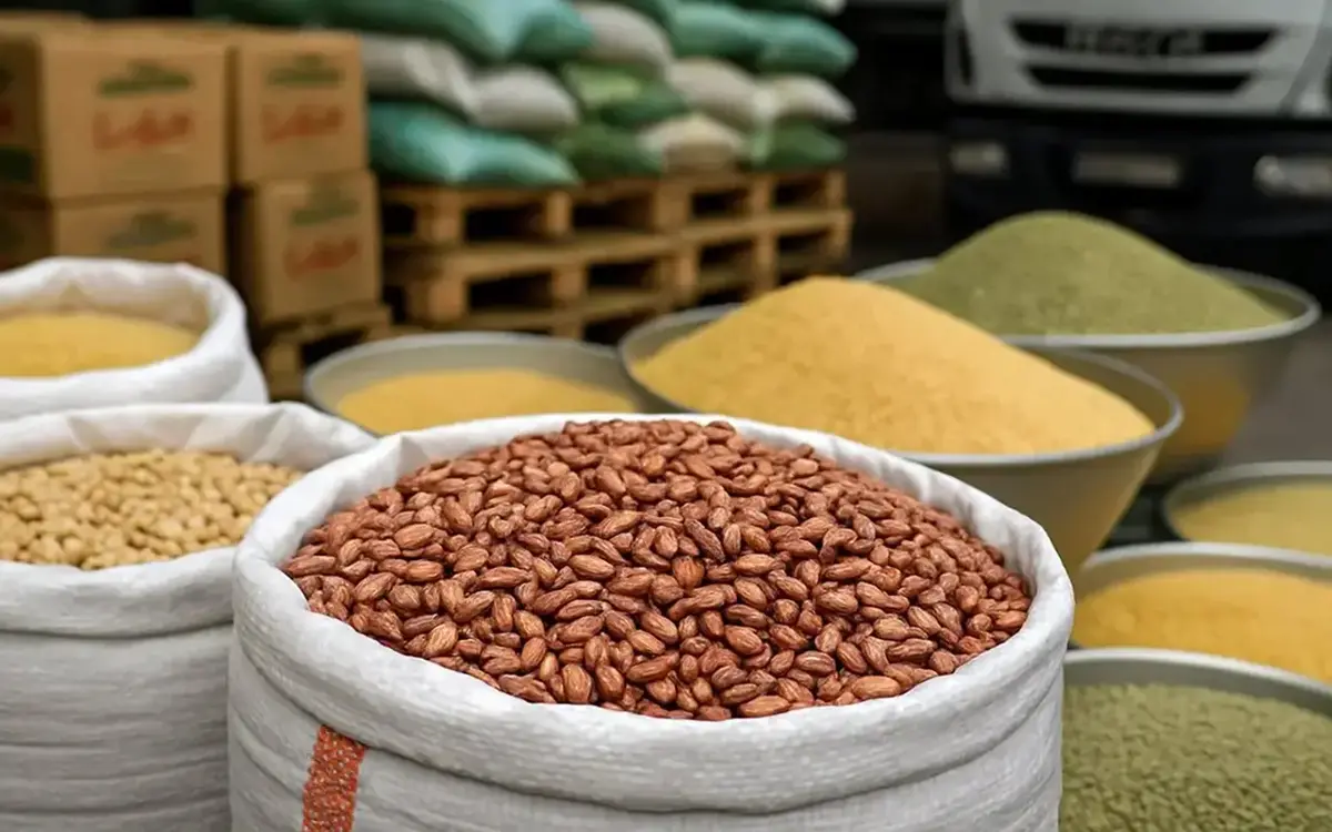 بازار حبوبات در مسیر گرانی/ قیمت لوبیا چیتی به کیلویی چند تومان رسید؟