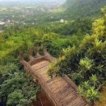 اینفوگرافیک/ واگذاری ۱۸ هکتار از جنگل‌های کل لاته تنکابن برای تفرجگاه