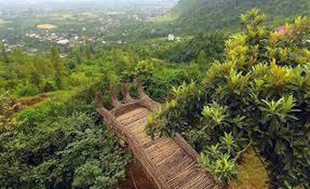 اینفوگرافیک/ واگذاری ۱۸ هکتار از جنگل‌های کل لاته تنکابن برای تفرجگاه