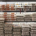 کاهش قیمت تخم مرغ / قیمت هر شانه چند شد؟