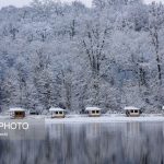 سرما در راه کشور/ کدام مناطق بارانی می شود؟