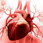 این افراد بیش از بقیه در معرض بیماری قلبی هستند