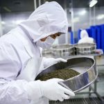 چین درحال تصاحب بازار خوراکی‌های لوکس جهان | تنوع جغرافیایی برگ برنده رقابت بود