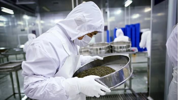 چین درحال تصاحب بازار خوراکی‌های لوکس جهان | تنوع جغرافیایی برگ برنده رقابت بود