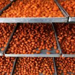 افزایش ۴۹۵۰ درصدی قیمت زولبیا و بامیه طی یک دهه/ وقتی یک شیرینی شاخص اقتصادی می شود!