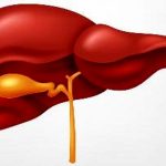 ۶ راهکار مهم برای پاکسازی کبد/ از این مواد غذایی غافل نشوید