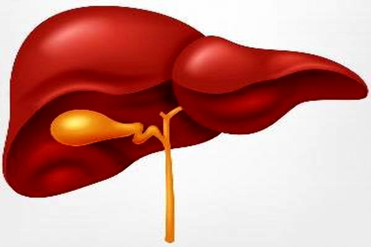 ۶ راهکار مهم برای پاکسازی کبد/ از این مواد غذایی غافل نشوید