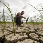 کشاورزی در تله سرمایه و روش‌های سنتی