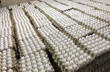 اعتراض روزنامه اصولگرا به ارزانی تخم مرغ/ قیمتش حتی از دان مرغ هم کمتر است/ نتایجش را یک ماه آینده می بینیم!