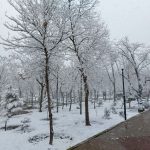 بارش برف تبریز را سفیدپوش کرد+عکس