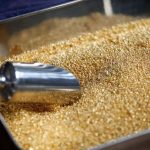 بیشترین ذخایر طلا در کدام کشورها است؟/ رشد 4 برابری قیمت طلا در 10 سال گذشته