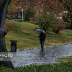 سردترین شهر ایران کجاست؟/ پیش بینی آب و هوای ایران 17 بهمن 1404/ تهران بارانی می شود؟